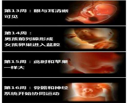 沈阳供卵指定沈阳坤和_泰国供卵取消了吗_畸胎瘤是良性的，会复发吗？
