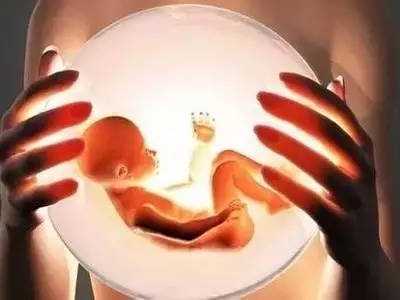 子宫切除会生育_弱精症怀孕概率_精子异常能不能做泰国试管婴儿胚胎着床后会