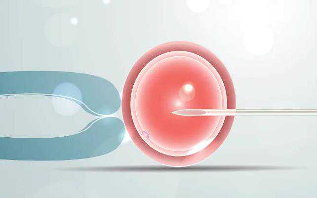 染色体异常流产率_子宫切除后再怀孕_做泰国试管如何提高胚胎植入率