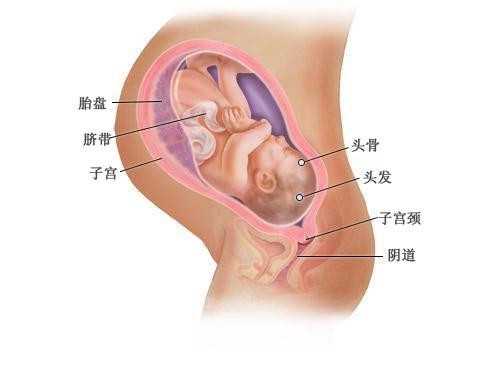 北京有代孕的嗎_南宁做第三代试管婴儿的详细流程是怎样的？
