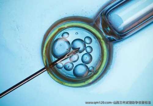 夫妻双方不孕检查