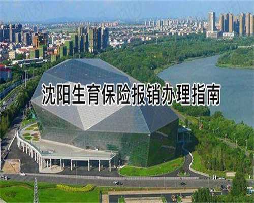 同种免疫不孕