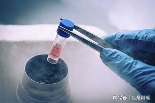 男性不孕症状